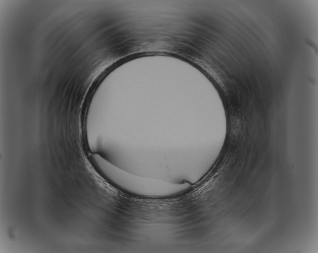 X0000094780980200712141616