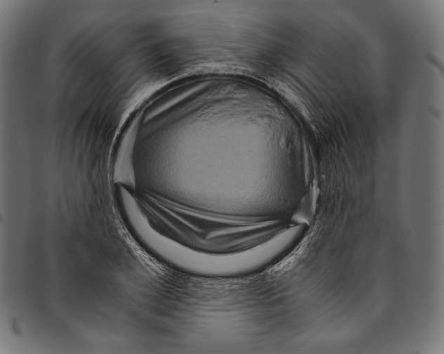 X0000094780981200712141616