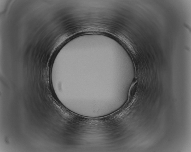 X0000094780982200712141616