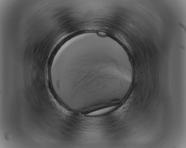 X0000094780984200712141616