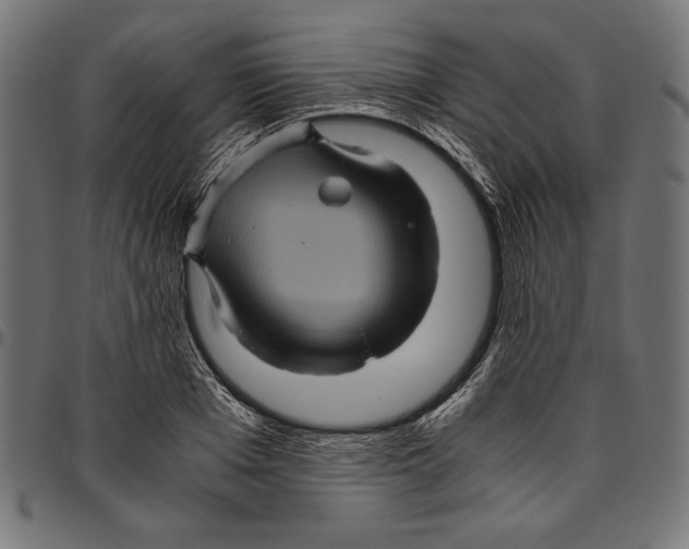 X0000094780985200712141616