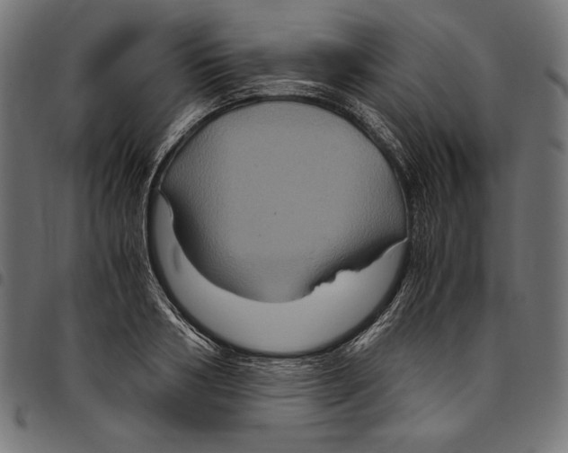 X0000094780986200712141616