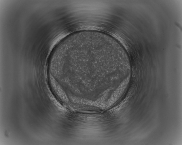 X0000094780987200712141616