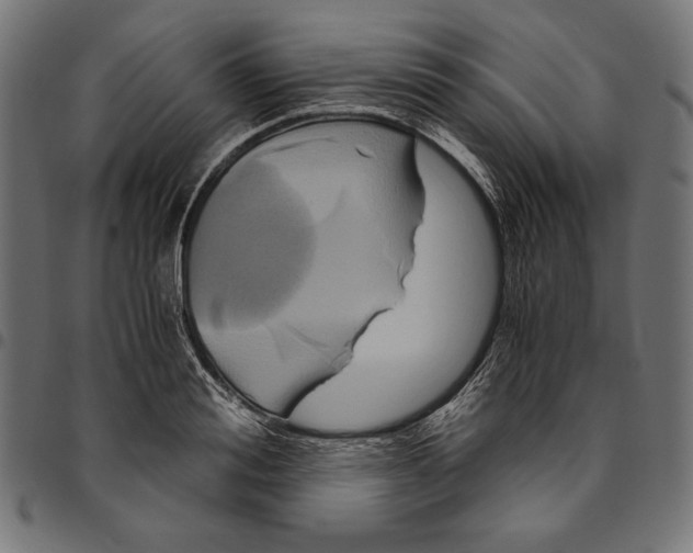 X0000094780988200712141616