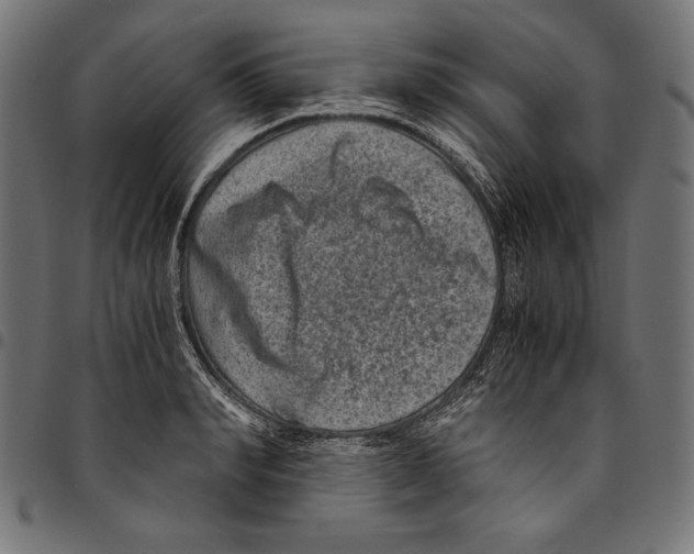 X0000094780990200712141616