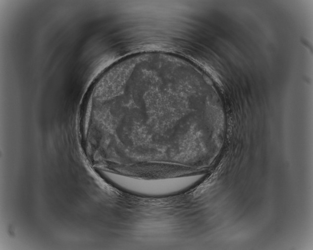 X0000094780991200712141616