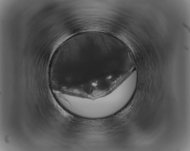 X0000094780995200712141616