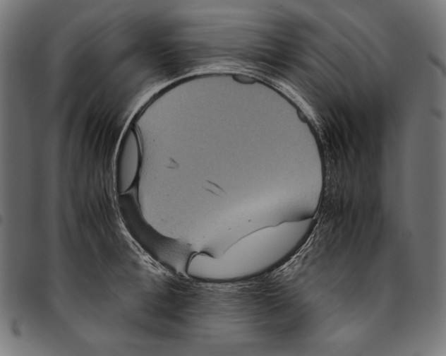 X0000094780996200712141616