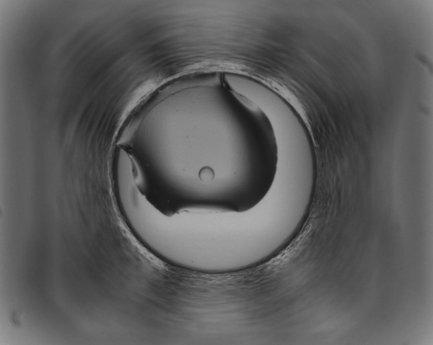 X0000094780997200712141616