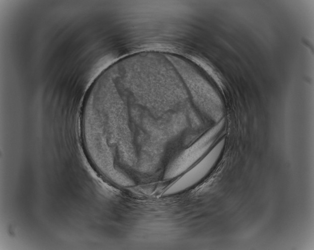 X0000094780999200712141616