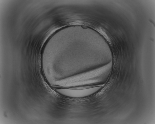 X0000094781000200712141616