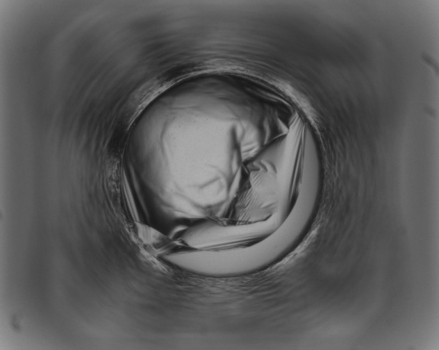 X0000094781001200712141616