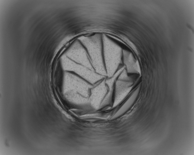 X0000094781005200712141616