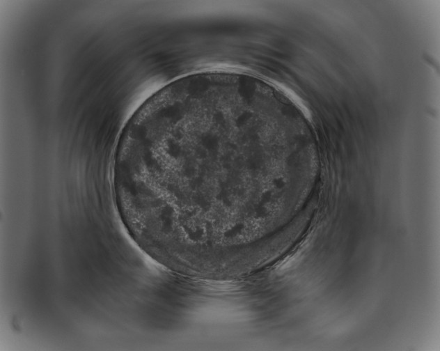 X0000094781007200712141616