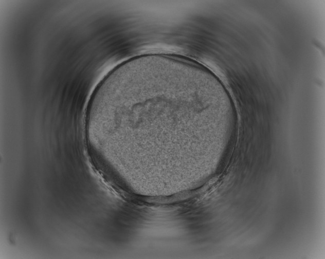 X0000094781008200712141616