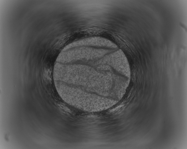 X0000094781010200712141615