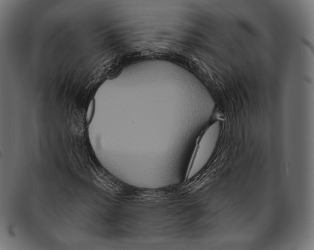 X0000094781012200712141615