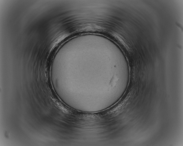 X0000094781018200712141615