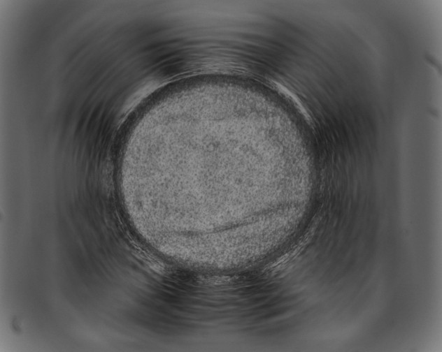 X0000094781019200712141615