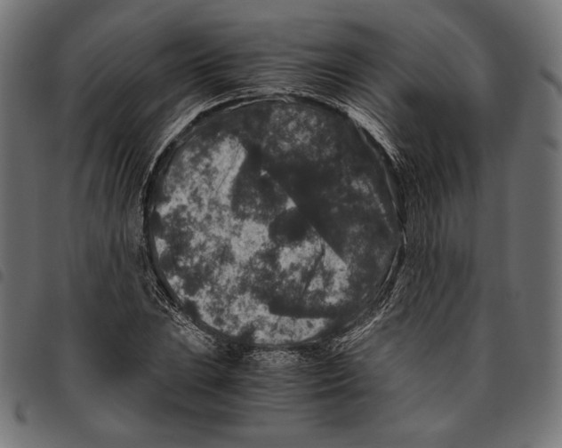 X0000094781023200712141615