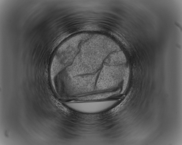 X0000094781025200712141615