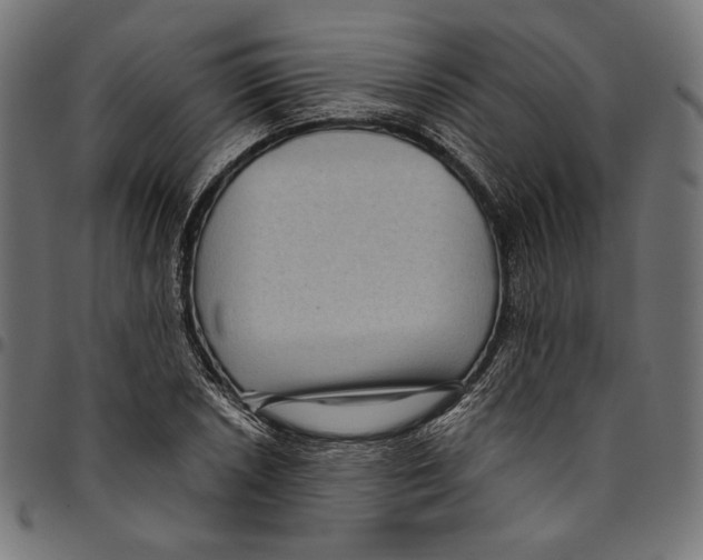 X0000094781026200712141615