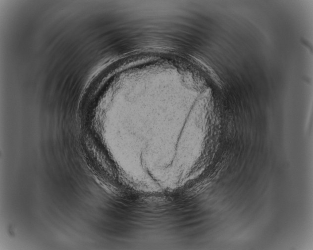 X0000094781027200712141615