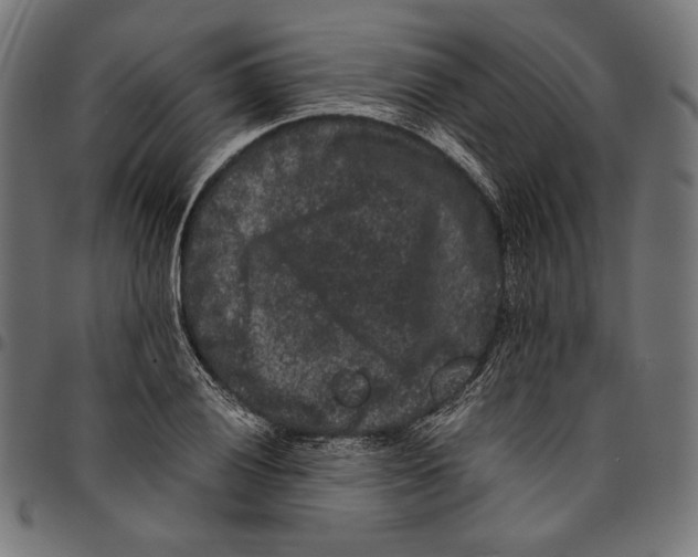 X0000094781028200712141615