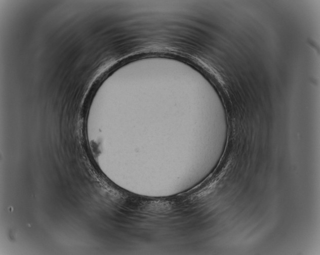 X0000094781029200712141615