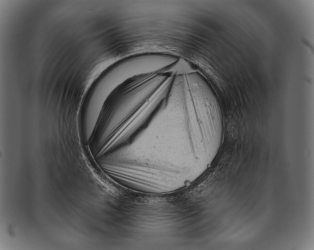 X0000094781030200712141615