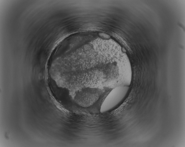 X0000094781031200712141615