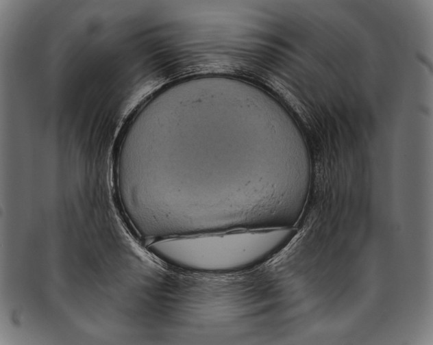 X0000094781034200712141616