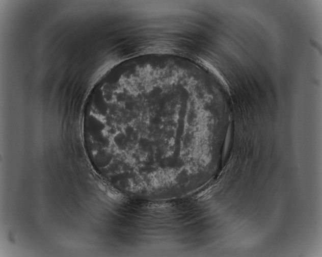 X0000094781035200712141616