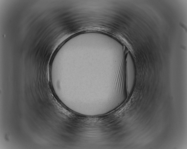 X0000094781036200712141616