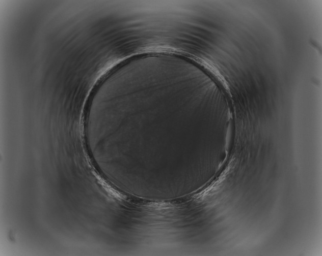 X0000094781037200712141616