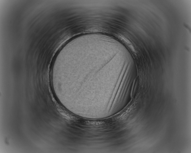 X0000094781039200712141616