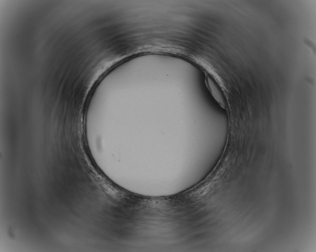 X0000094781040200712141616