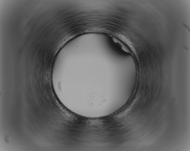 X0000094781041200712141616