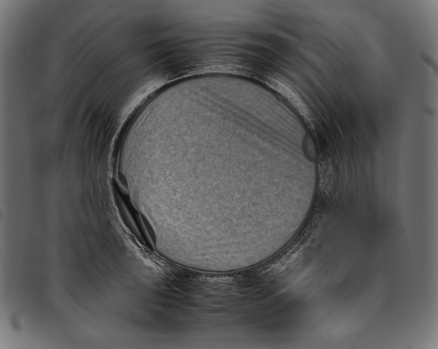 X0000094781043200712141616