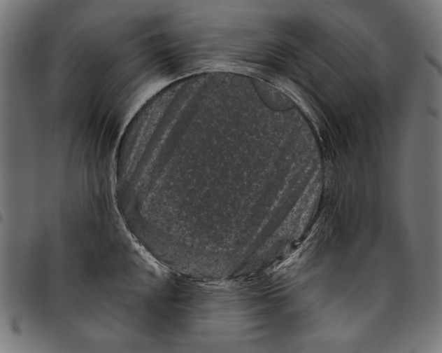 X0000094781048200712141616