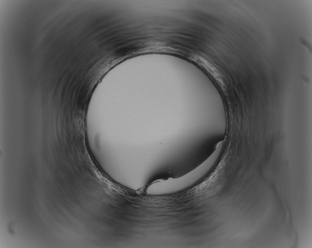 X0000094781049200712141616