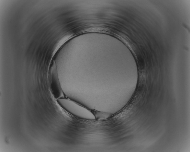 X0000094781050200712141616