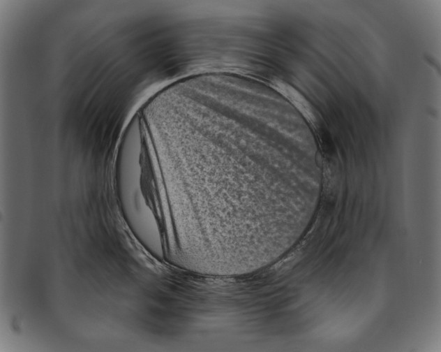 X0000094781052200712141616