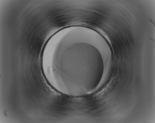 X0000094781053200712141616