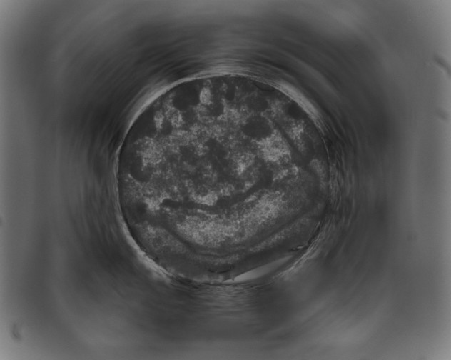 X0000094781055200712141616