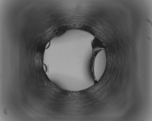 X0000094781058200712141615