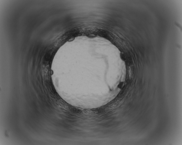 X0000094781059200712141615