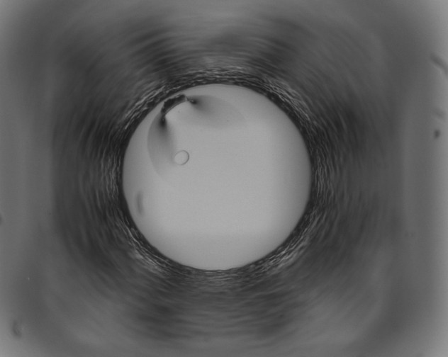 X0000094781060200712141615