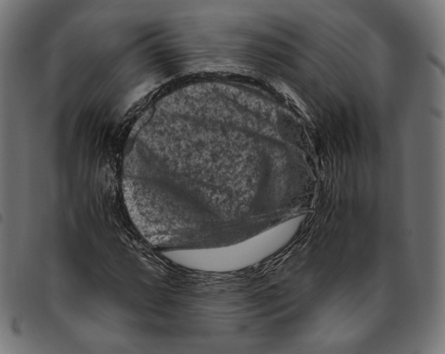 X0000094781064200712141615