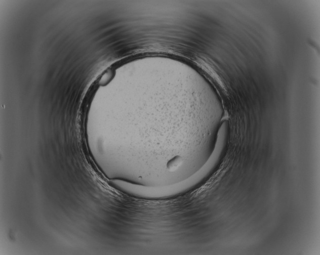 X0000094781068200712141615